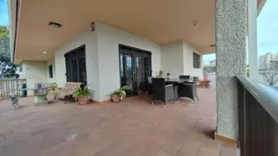 Chalet in Platja Muchavista photo 85