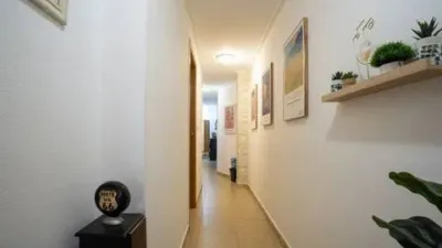 Piso – Torrevieja - Vista 3
