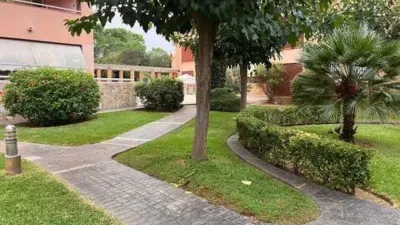 Ground Floor Apartment in Son Oliva photo 30
