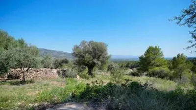 Chalet in Culla photo 19