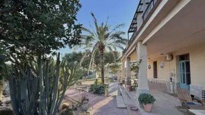 Chalet in Torrellano-Valverde-Business Park photo 3