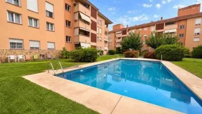 Ground Floor Apartment in Son Oliva photo 21