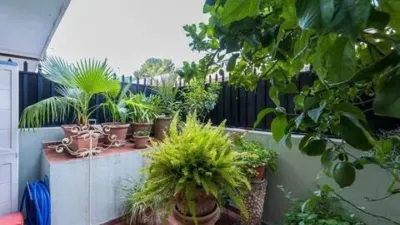 Apartment in Palma de Mallorca photo 30