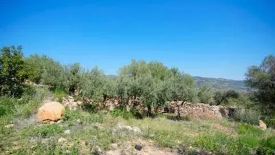 Chalet in Culla photo 20