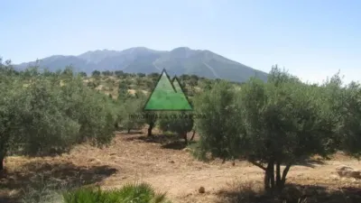 Chalet in Alcaucín photo 4