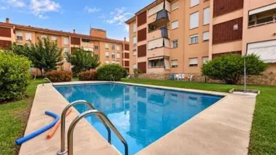 Ground Floor Apartment in Son Oliva photo 3