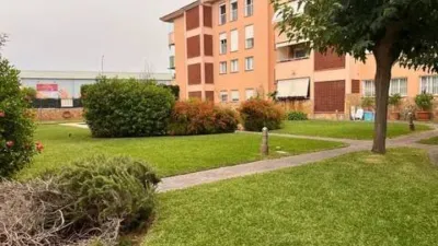 Ground Floor Apartment in Son Oliva photo 25