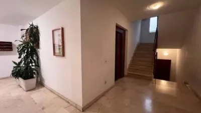 Ground Floor Apartment in Son Oliva photo 24