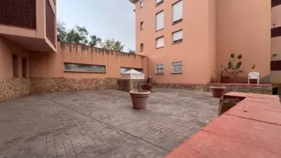 Ground Floor Apartment in Son Oliva photo 28