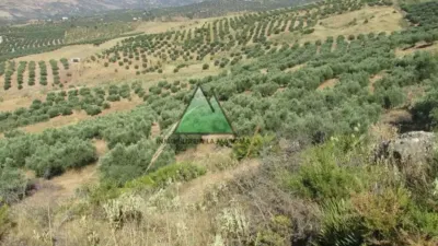 Chalet in Alcaucín photo 2