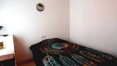 Apartment in Las Viñas photo 20