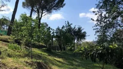 Chalet in Sant Vicenç dels Horts photo 4