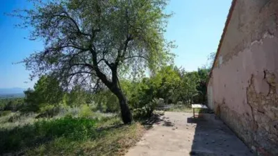 Chalet in Culla photo 3