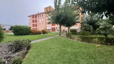 Ground Floor Apartment in Son Oliva photo 26