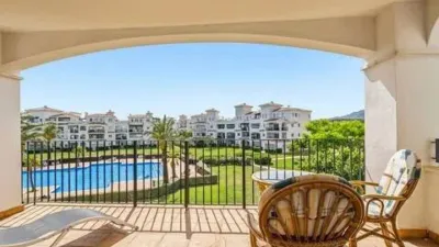 Apartment in Murcia Capital photo 3