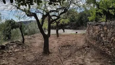 Chalet in Culla photo 28