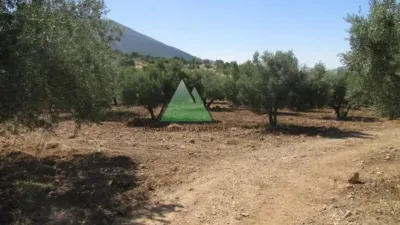 Chalet in Alcaucín photo 6