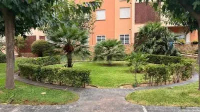 Ground Floor Apartment in Son Oliva photo 29