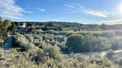 Chalet in Torrellano-Valverde-Business Park photo 37