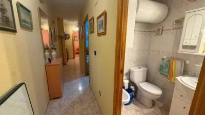 Apartment on Carrer de Vicente Blasco Ibáñez photo 11