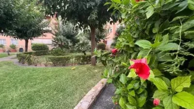 Ground Floor Apartment in Son Oliva photo 27