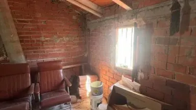  photo 39