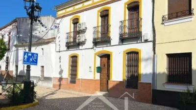 Terraced house in Almadén de La Plata photo 5