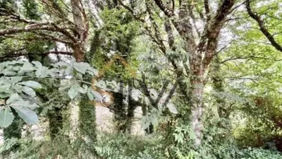 Rustic house in Palas de Rei photo 39