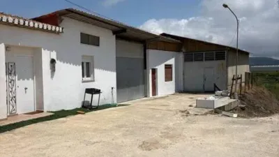 Rustic property on Calle Diseminados, 165 photo 12
