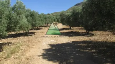 Chalet in Alcaucín photo 5