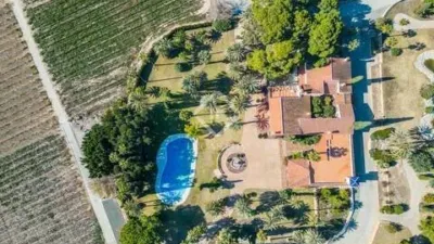 Rustic House in Novelda photo 8