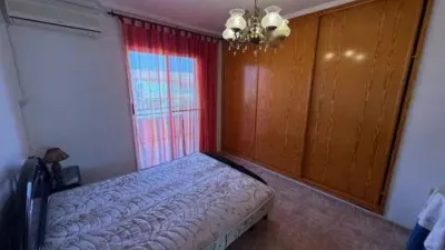 House in Torre de la Horadada photo 14