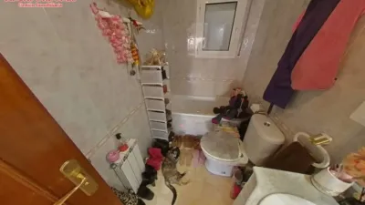 Apartment in Sant Andreu de La Barca photo 16