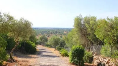 Rustic house in Bunyola photo 63