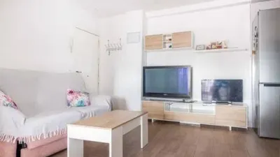 Apartment in Bellavista photo 9