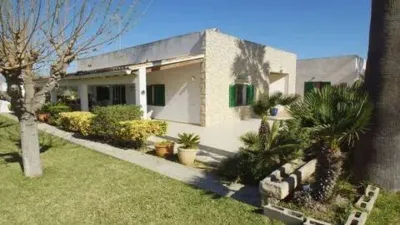 Rustic house in Alcúdia photo 3