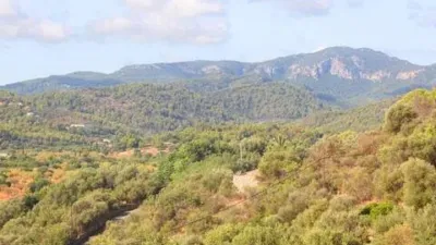 Rustic house in Bunyola photo 67