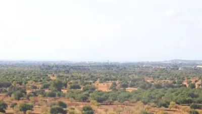 Rustic house in Bunyola photo 8