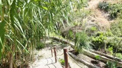 Chalet in Canillas de Albaida photo 34