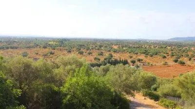 Rustic house in Bunyola photo 72