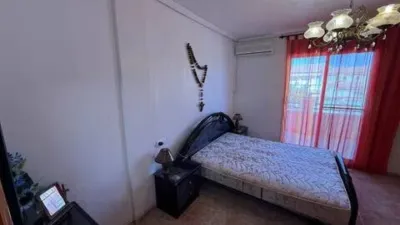 House in Torre de la Horadada photo 13