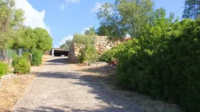 Rustic house in Bunyola photo 61