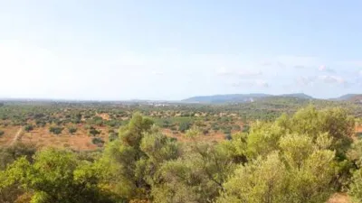 Rustic house in Bunyola photo 75