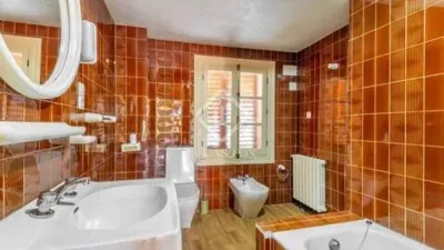 Rustic House in Novelda photo 26