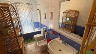 House in Torre de la Horadada photo 17