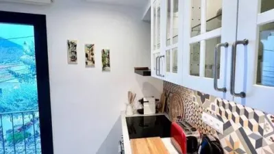 Apartment on Carrer de Miquel Rosset photo 13