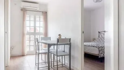 Apartment in Bellavista photo 15