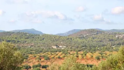 Rustic house in Bunyola photo 74