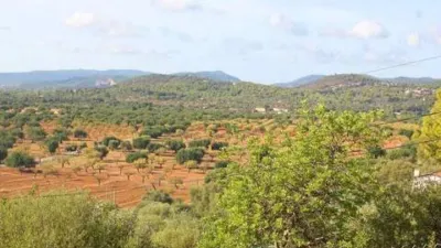 Rustic house in Bunyola photo 80