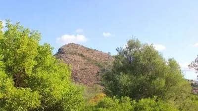 Rustic house in Bunyola photo 17